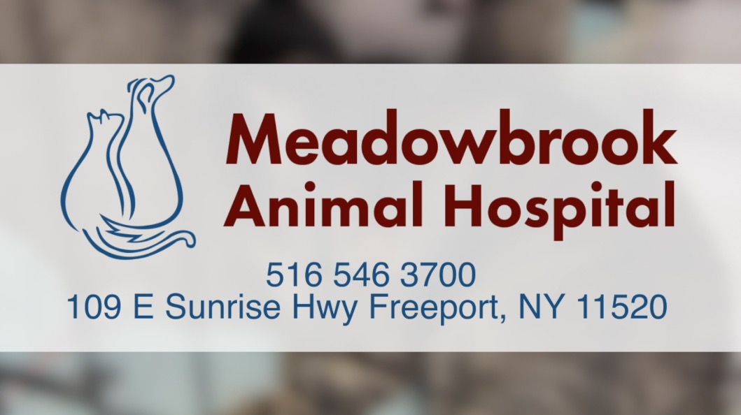 Meadowbrook Animal Hospital PC