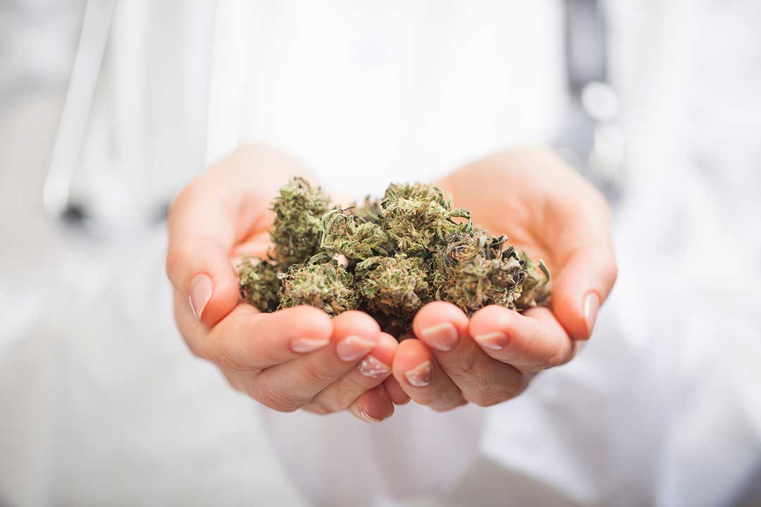 Cannabis Dispensary photo from Adobe Stock