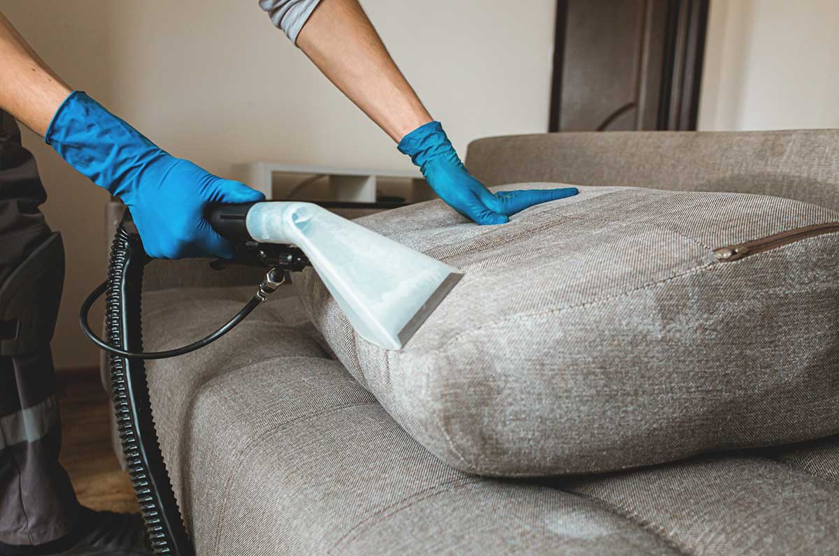 Cleaning photo from Adobe Stock