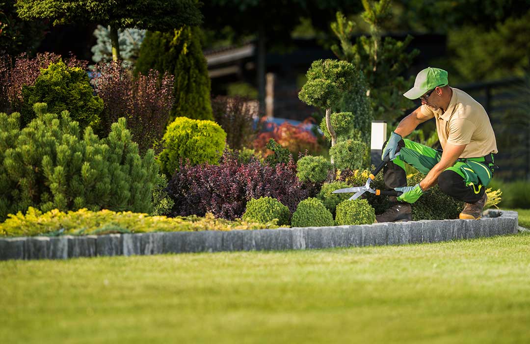 Landscaping photo from Adobe Stock