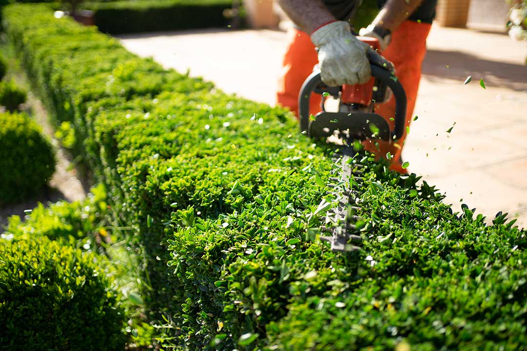 Landscaping photo from Adobe Stock