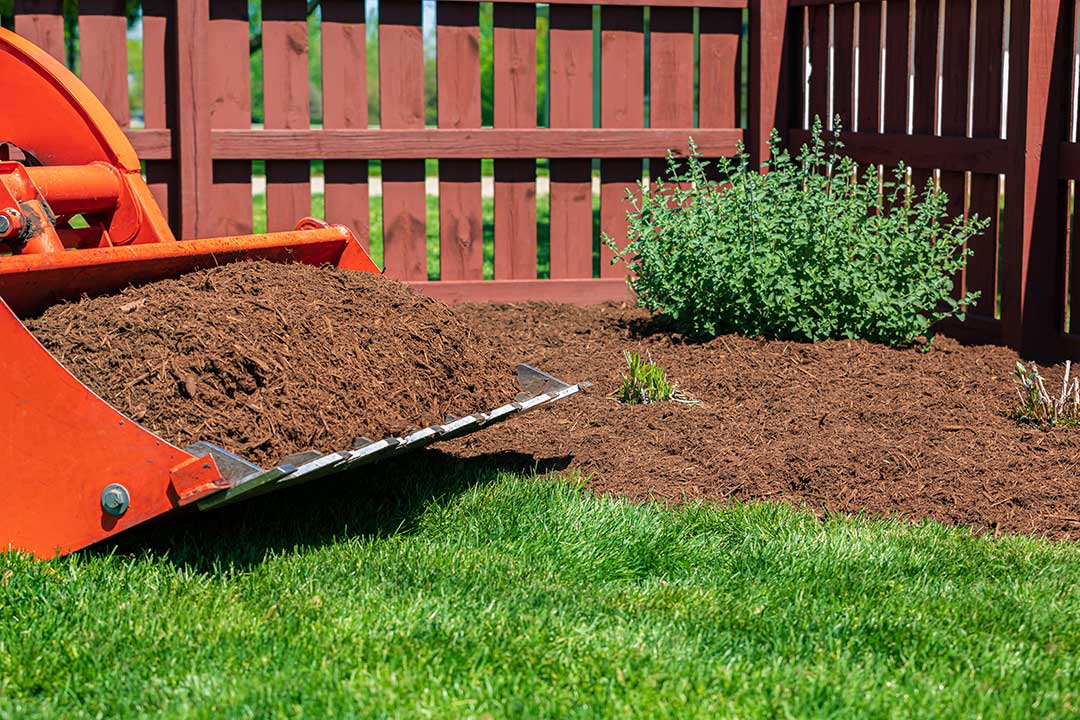 Landscaping photo from Adobe Stock