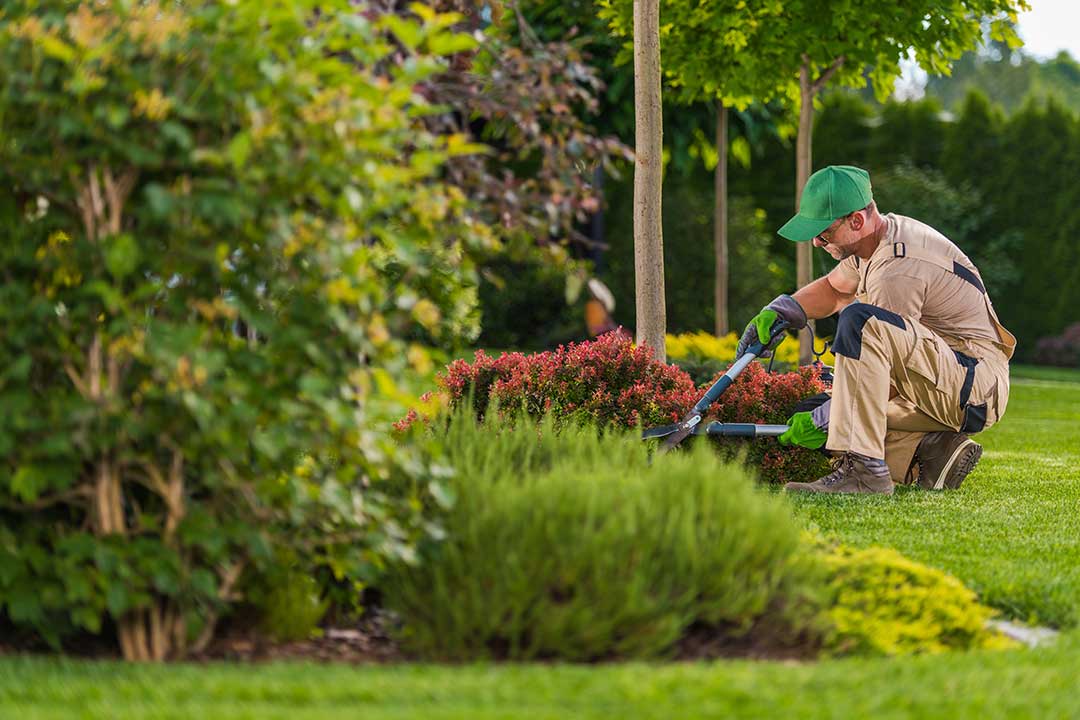 Landscaping photo from Adobe Stock