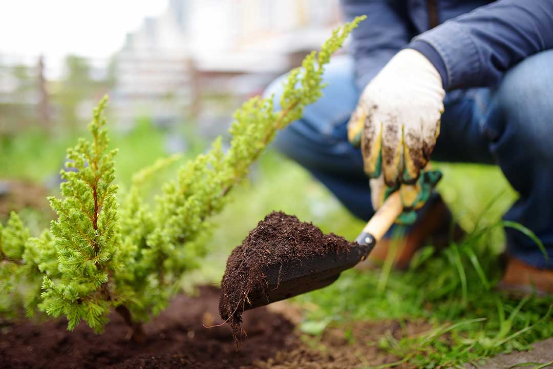 Landscaping photo from Adobe Stock