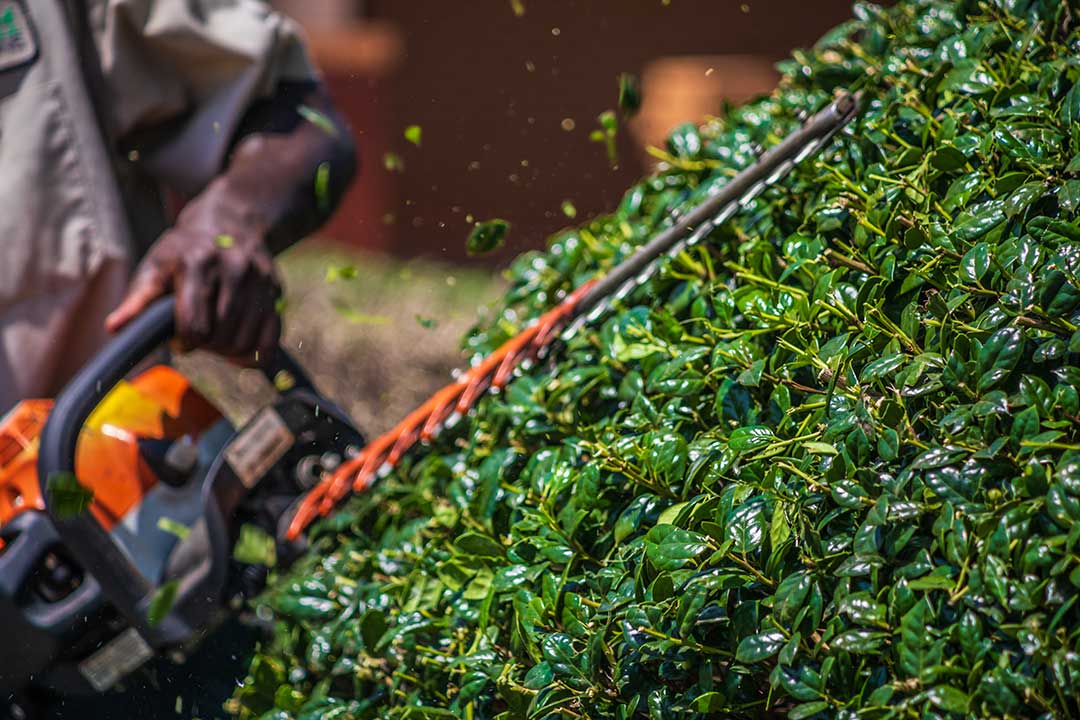 Landscaping photo from Adobe Stock