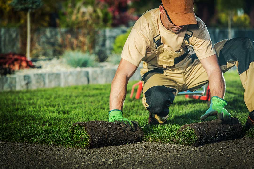 Landscaping photo from Adobe Stock