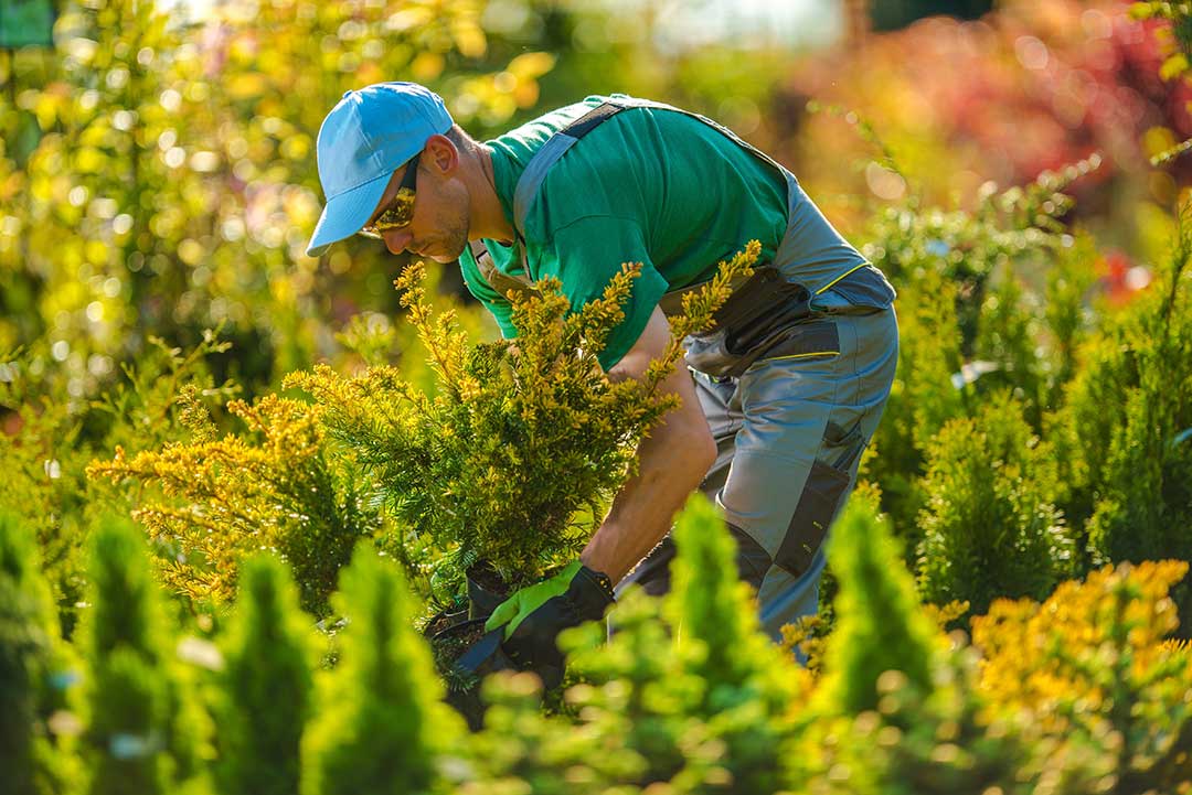 Landscaping photo from Adobe Stock