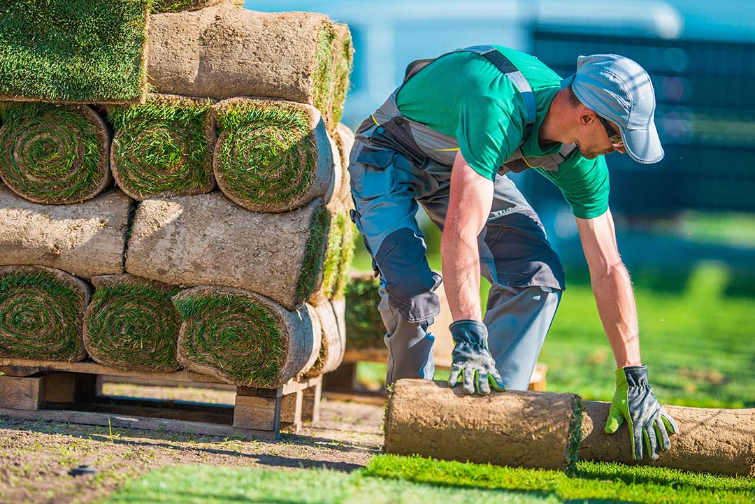 Landscaping photo from Adobe Stock