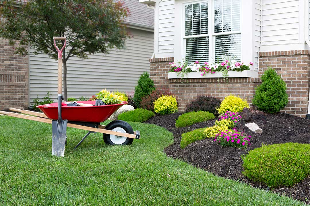 Landscaping photo from Adobe Stock