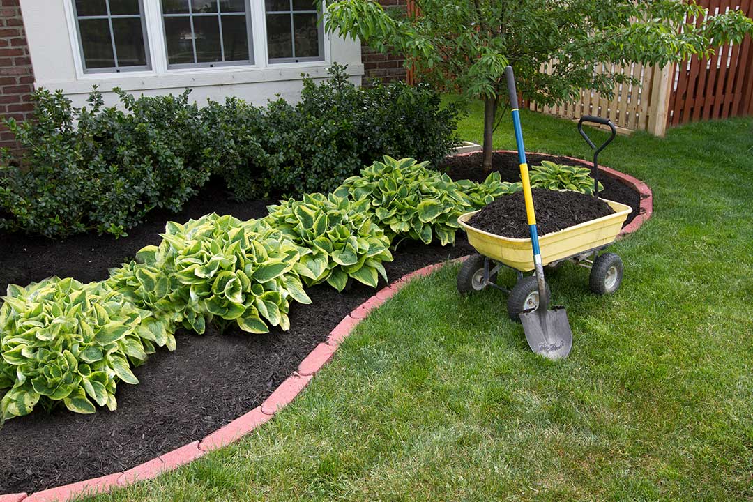 Landscaping photo from Adobe Stock