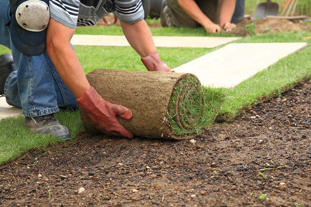Landscaping photo from Adobe Stock