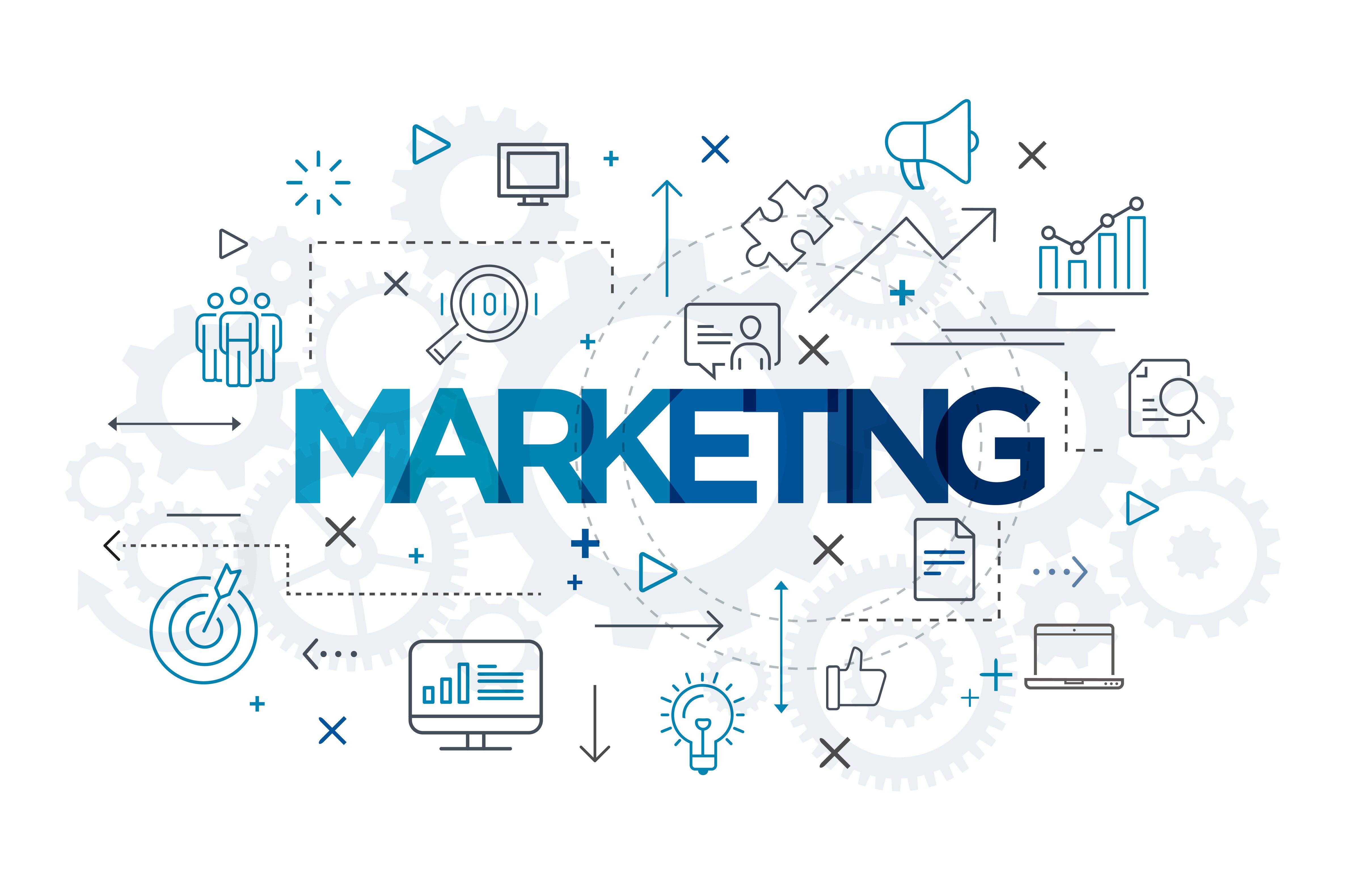 Marketing Expert photo from Adobe Stock