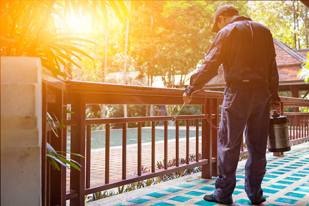 Pest Control photo from Adobe Stock