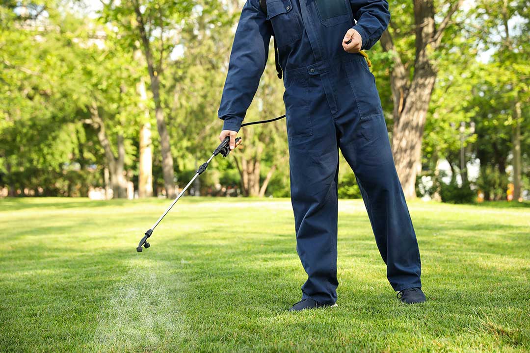Pest Control photo from Adobe Stock