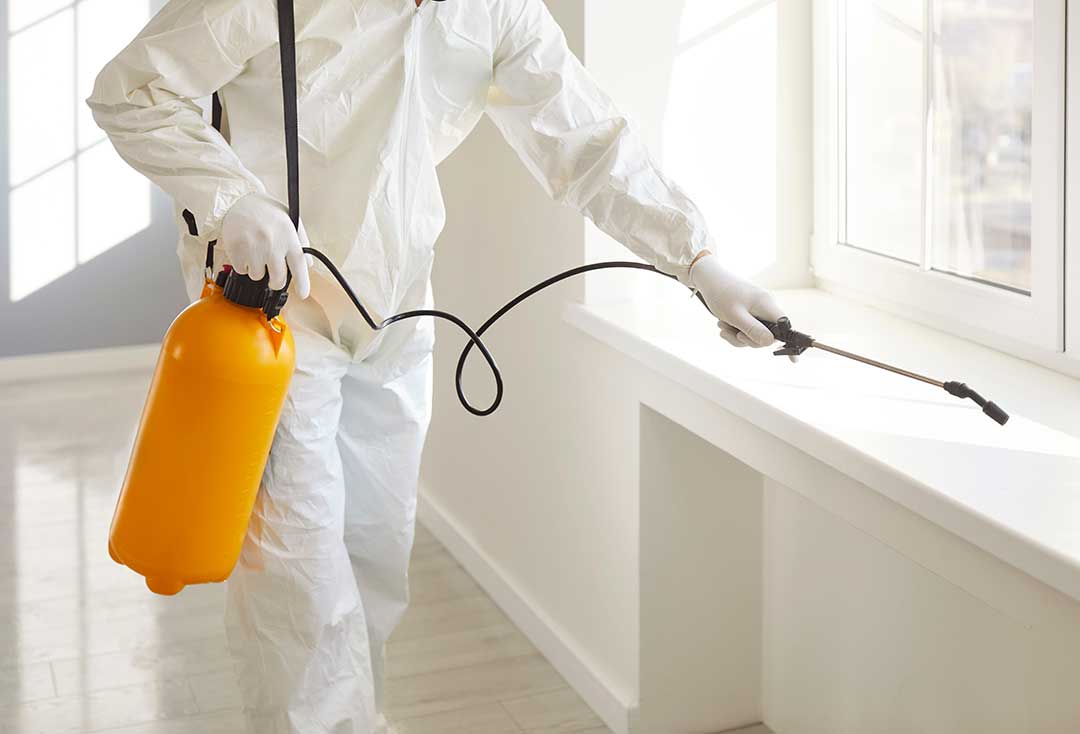 Pest Control photo from Adobe Stock
