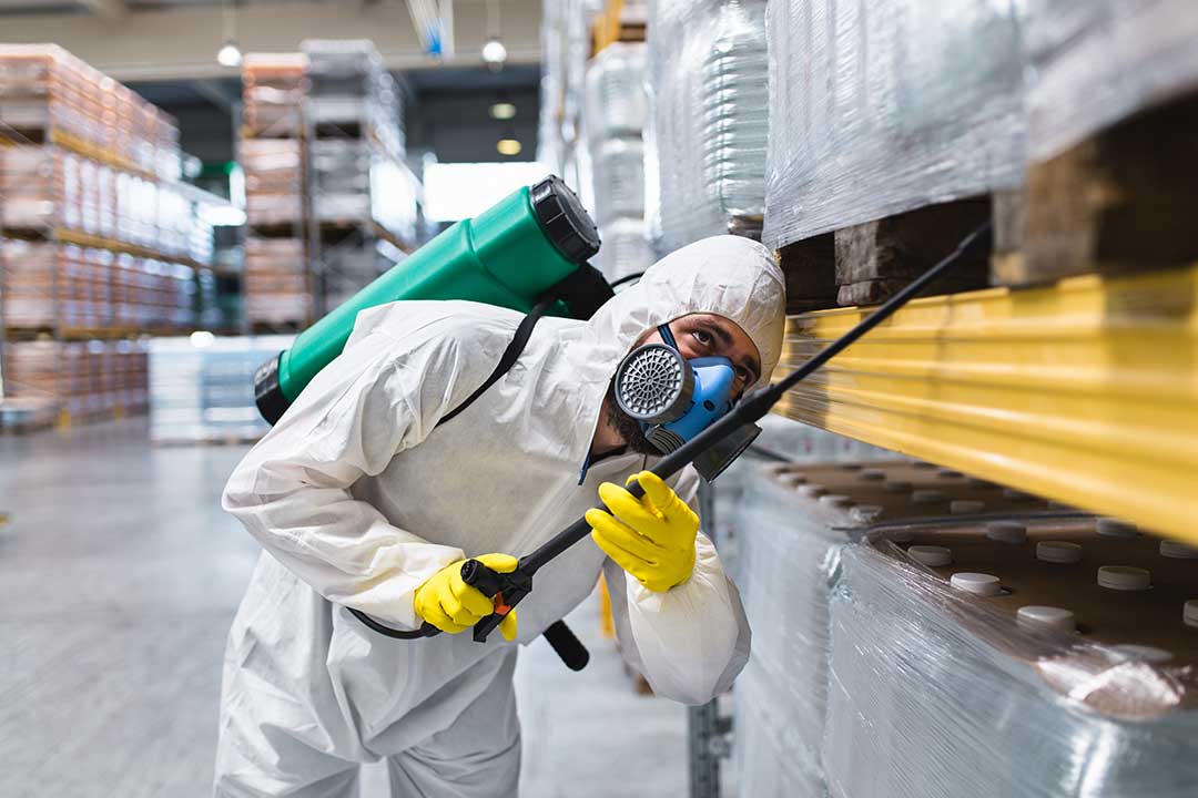 Pest Control photo from Adobe Stock