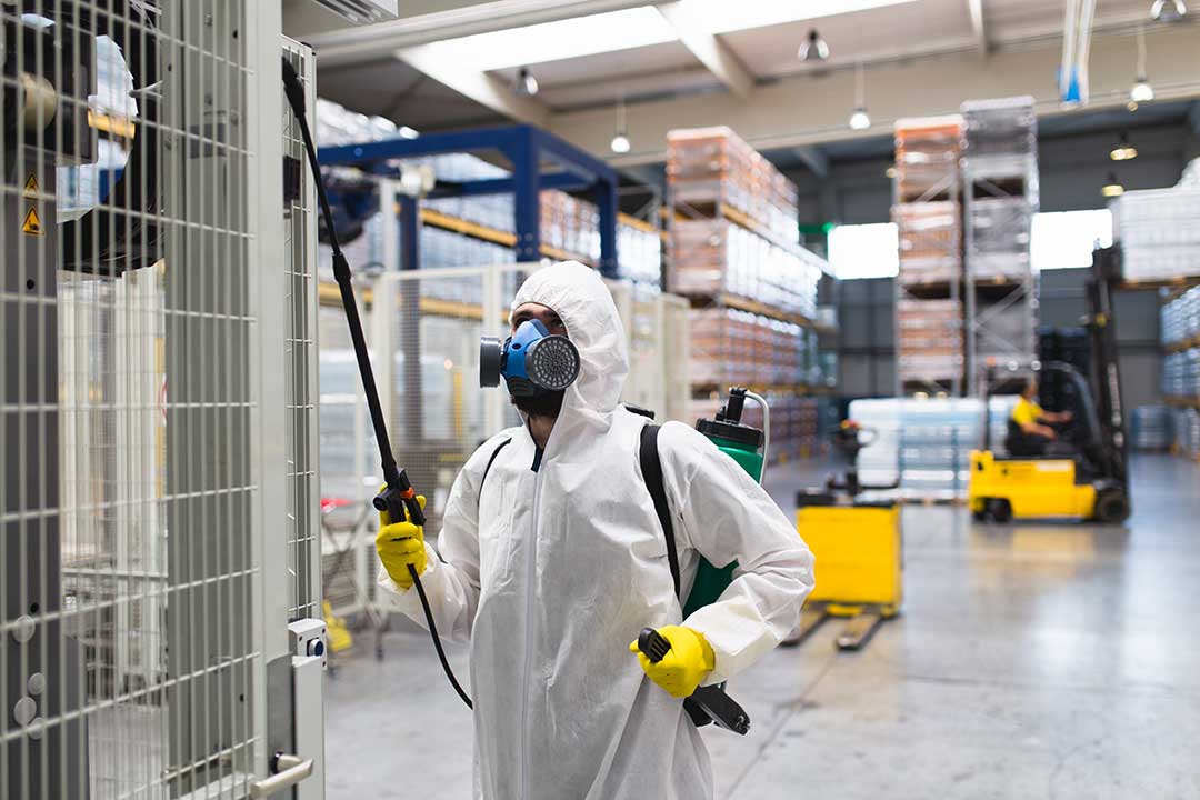 Pest Control photo from Adobe Stock