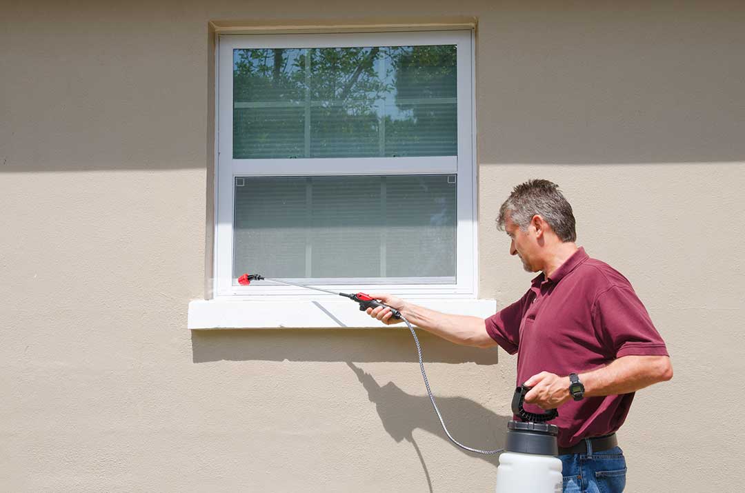 Pest Control photo from Adobe Stock