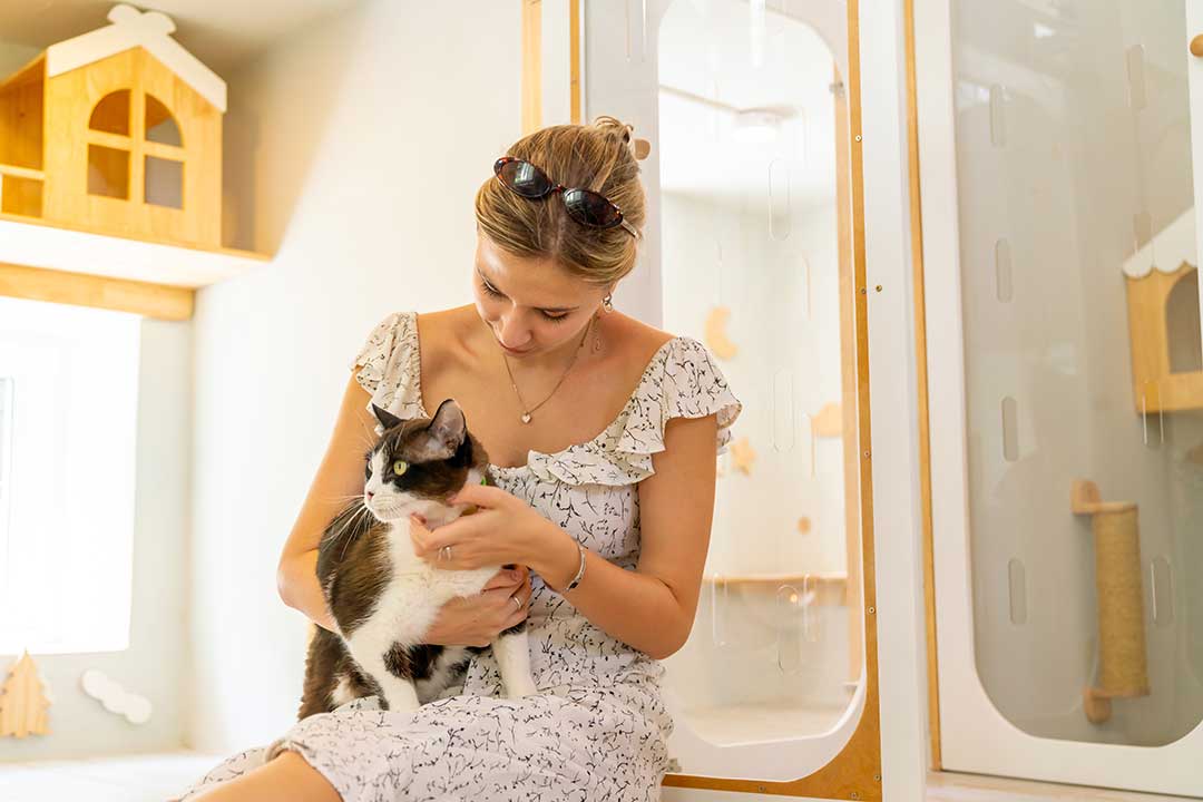 Pet Boarding photo from Adobe Stock