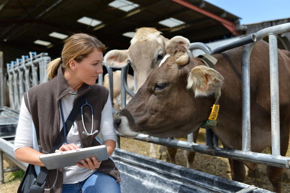 Veterinarian photo from Adobe Stock