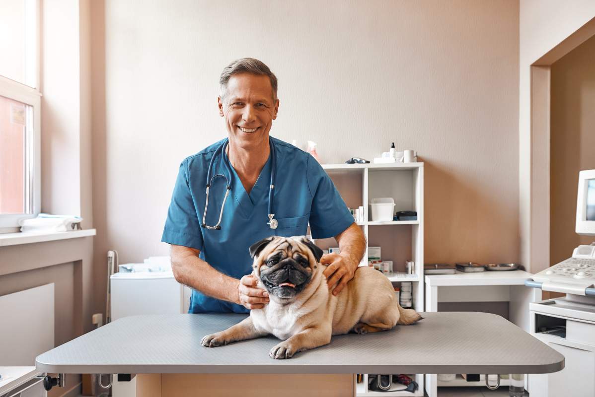 Veterinarian photo from Adobe Stock
