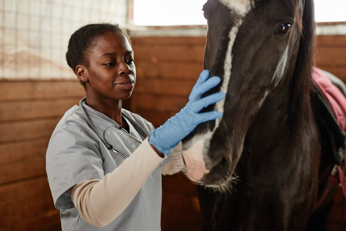Veterinarian photo from Adobe Stock