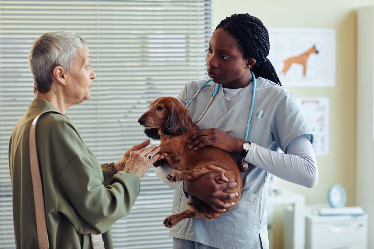 Veterinarian photo from Adobe Stock