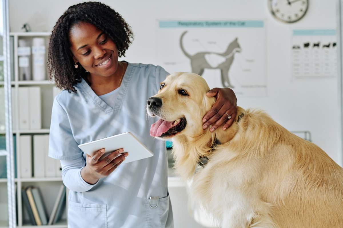 Veterinarian photo from Adobe Stock