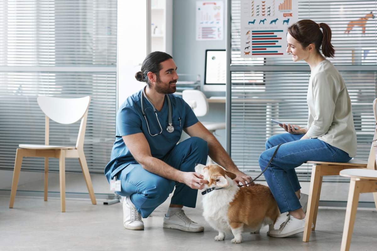 Veterinarian photo from Adobe Stock