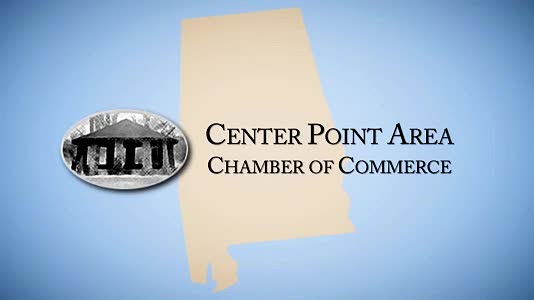 Image for Center Point