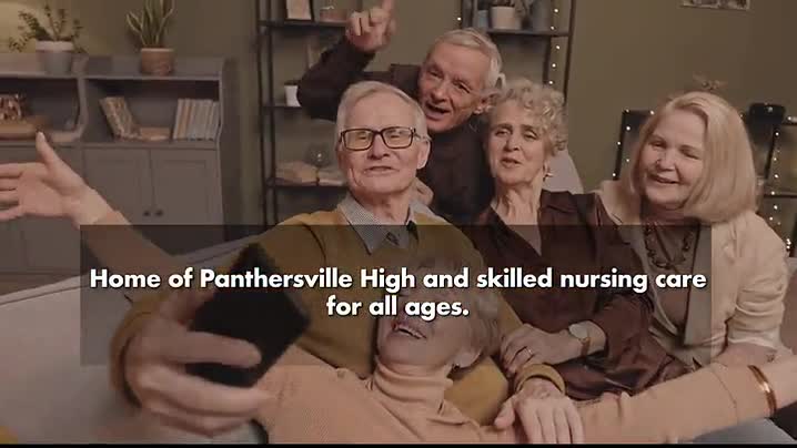 Image for Panthersville