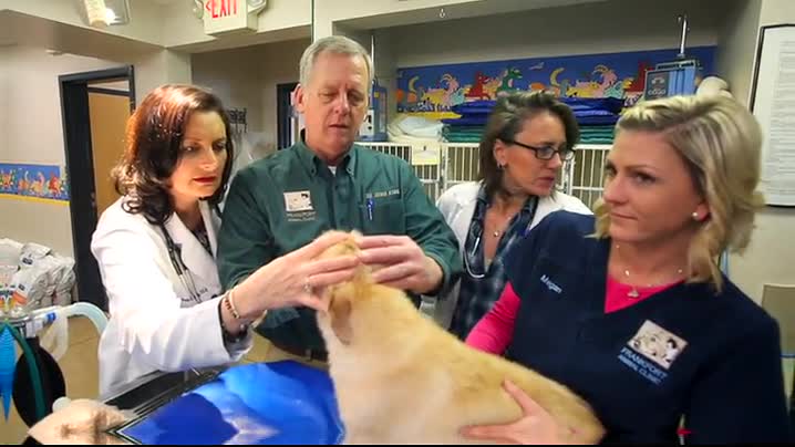Video Tour of Veterinary Hospital Near Me 40601 - Frankfort Animal Clinic
