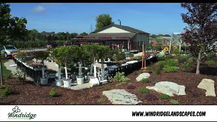 windridge perennials & landscaping