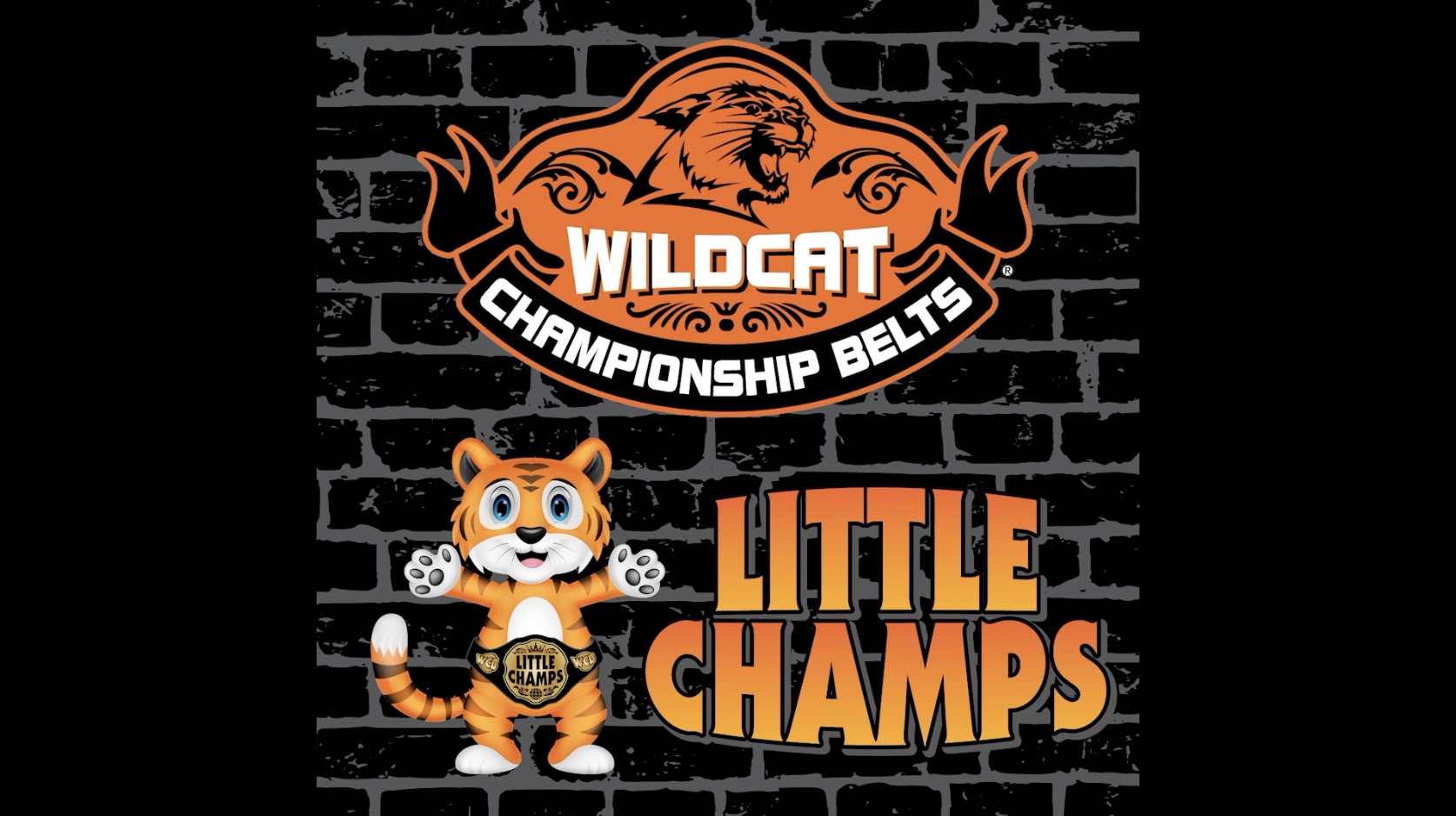 Custom-Made Championship Belts ❘ Wildcat Championship Belts