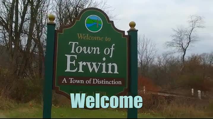 Image for Erwin