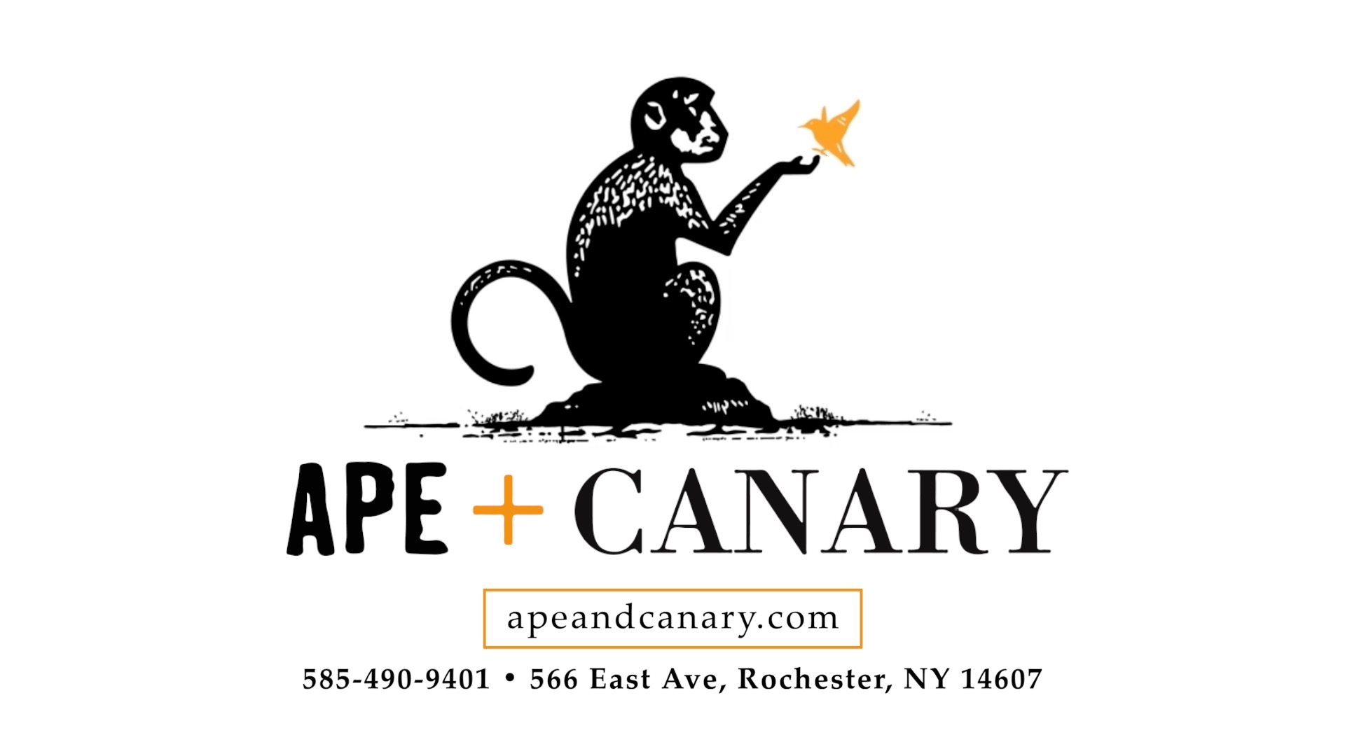 Signature Massage, Facial + Spa in Rochester, NY | Ape + Canary