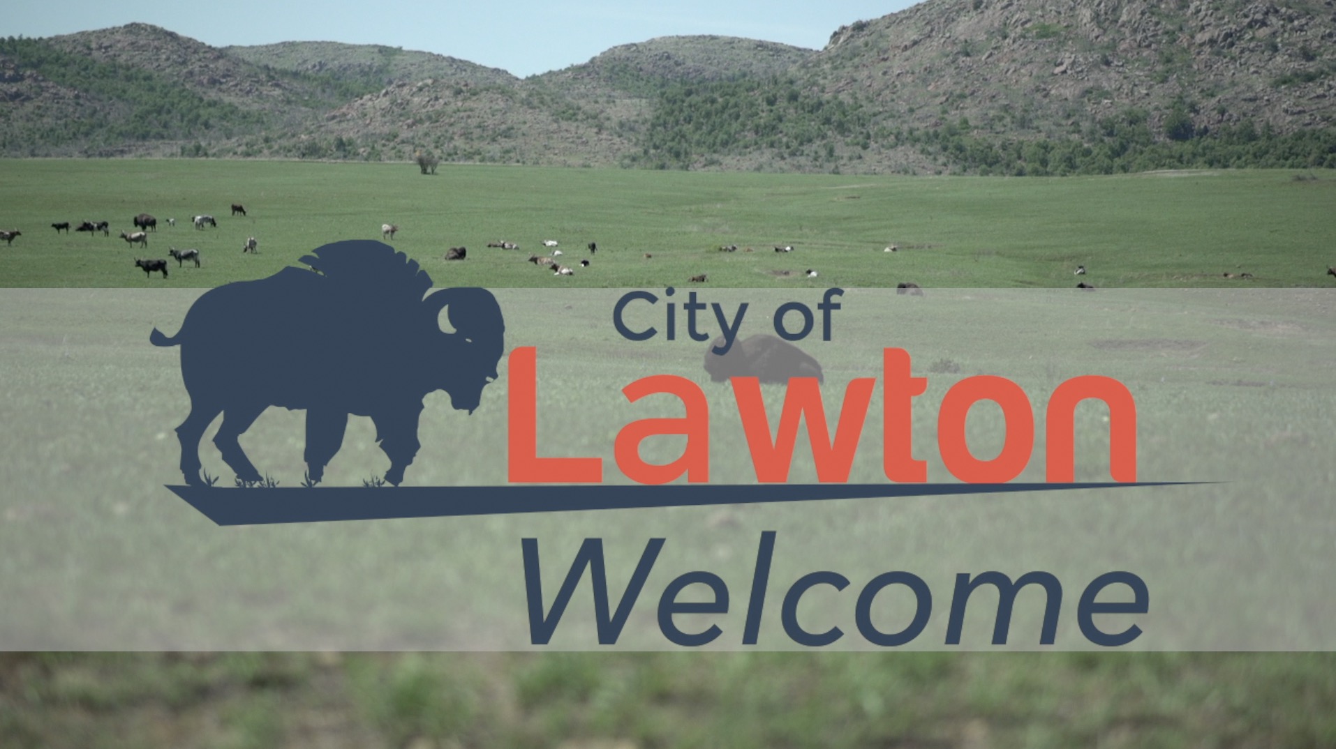 Image for Lawton