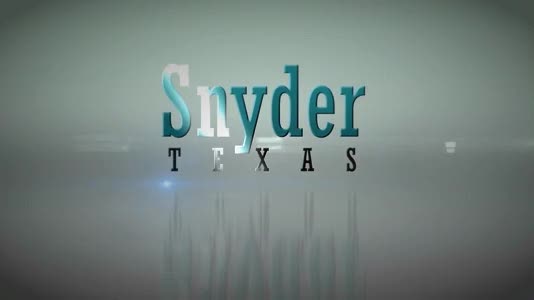 Image for Snyder