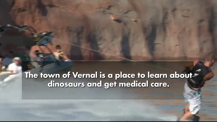 Image for Vernal