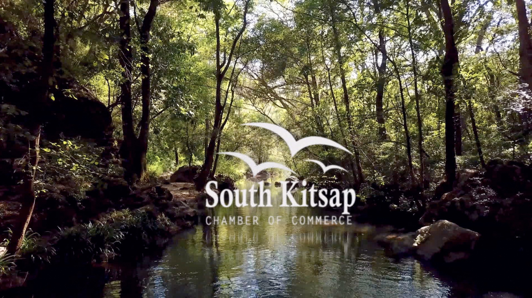 Image for South Kitsap Chamber