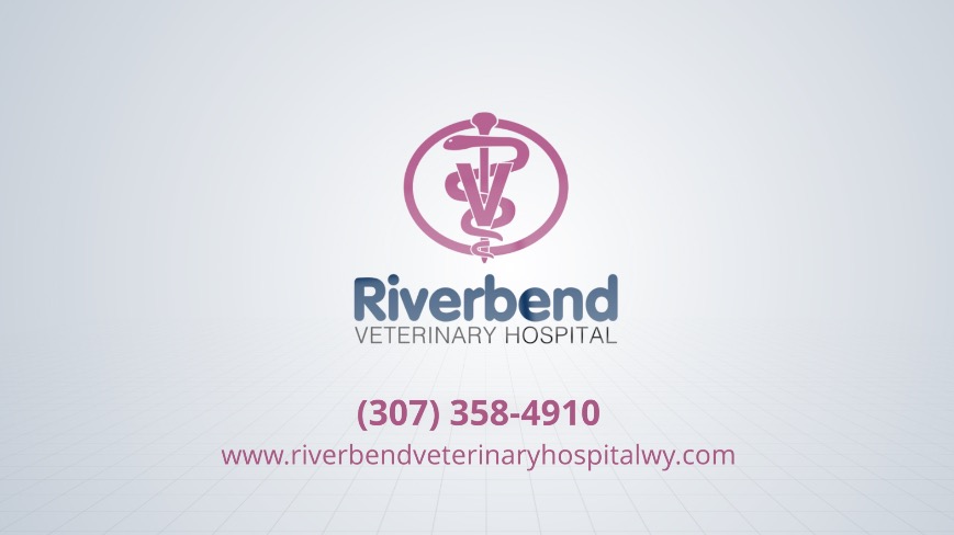 Animal Hospital in Douglas, WY ❘ Riverbend Veterinary Hospital